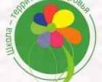 О формировании здорового образа жизни