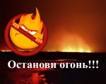 Соблюдение правил пожарной безопасности в лесах и действия при обнаружения пожара
