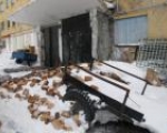Достаток растёт - нравственность падает.