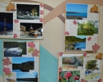 Пресс – релиз о проведении городской фотовыставки «Любимый город», в рамках празднования Дня города.