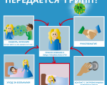Почему необходимо прививаться от гриппа
