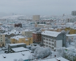 Обновлен сервис оформления фитосанитарных сертификатов