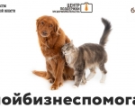 #Мойбизнеспомогает